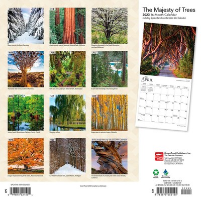 2023 BrownTrout The Majesty of Trees 12 x 12 Monthly Wall Calendar (9781975452155)