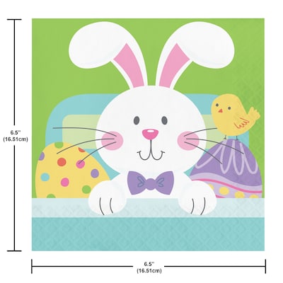 Creative Converting Hippity Hoppity Easter Paper Plates and Napkins Kit, Serves 16 (DTC9197E2G)