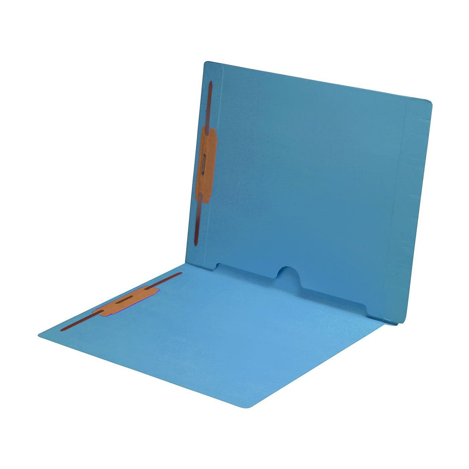 Medical Arts Press End Tab File Folder, Straight Cut, Letter-Size, Blue, 250/Carton (S-09019-BLU-B)