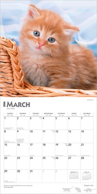 2026 BrownTrout Ginger Cats 12" x 12" Monthly Wall Calendar (9798330703425)