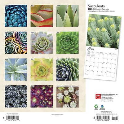 2023 BrownTrout Succulents 12 x 12 Monthly Wall Calendar (9781975452872)