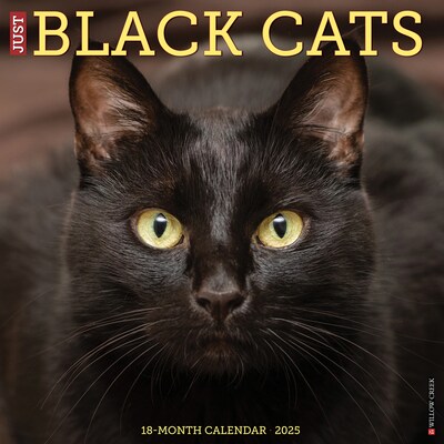 2025 Willow Creek Black Cats 12 x 12 Monthly Wall Calendar (41833)
