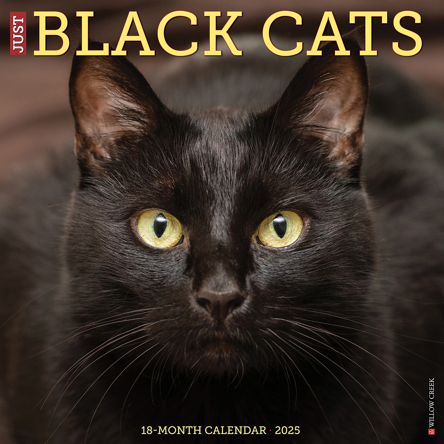 2025 Willow Creek Black Cats 12 x 12 Monthly Wall Calendar (41833)