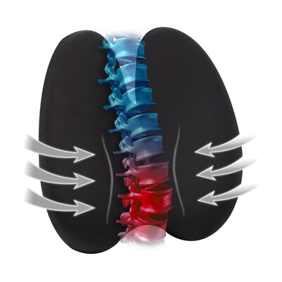 Mind Reader Memory Foam Lumbar Support Pillow Office Chair Back Cushion, Black (BBACK-BLK)