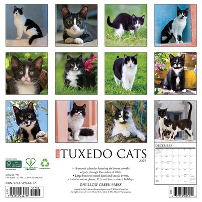 2027 Willow Creek Tuxedo Cats 12 x 12 Monthly Wall Calendar, Assorted Colors (62715)