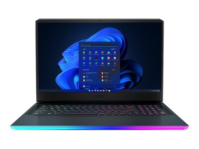 MSI Raider GE76 12UH-655 17.3 Laptop, Intel Core i9 12th, 32GB Memory, 1TB + 512GB SSD, Windows 11 Pro (RAIDERGE7612655)
