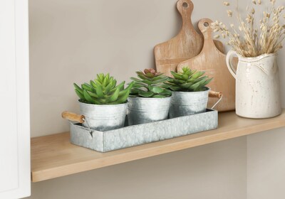 Monarch Specialties Inc. 6 Artificial Succulent in Pot, 3/Set (I 9372)