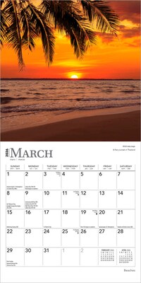 2026 BrownTrout Beaches 7" x 7" Monthly Wall Calendar (9798330702350)