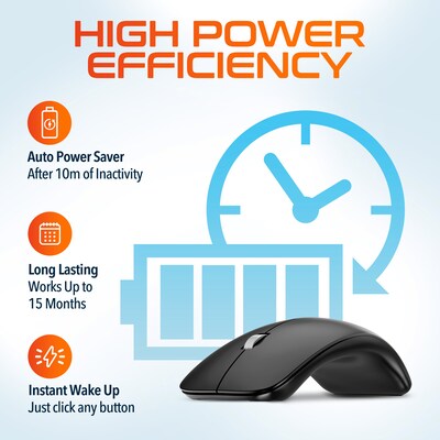Delton S10 Wireless Ergonomic Curved Optical Mouse, Black (DMERGS10-WB)