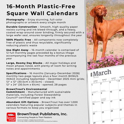 2026 BrownTrout Vizslas 12" x 12" Monthly Wall Calendar (9798330706167)