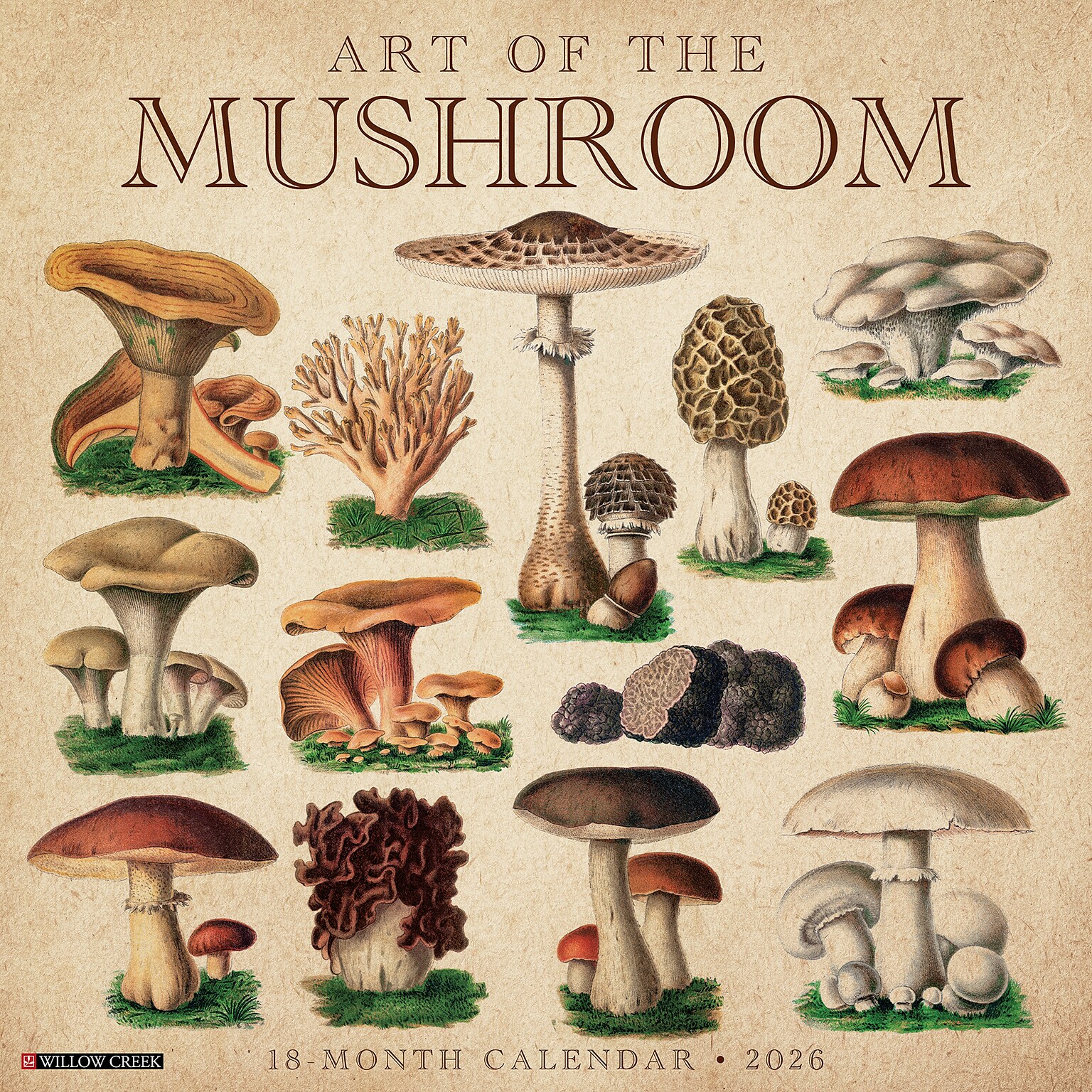 2026 Willow Creek Art of the Mushroom 12 x 12 Monthly Wall Calendar (49914)