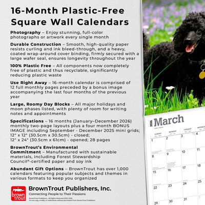 2026 BrownTrout Poodles 12" x 12" Monthly Wall Calendar (9798330705160)