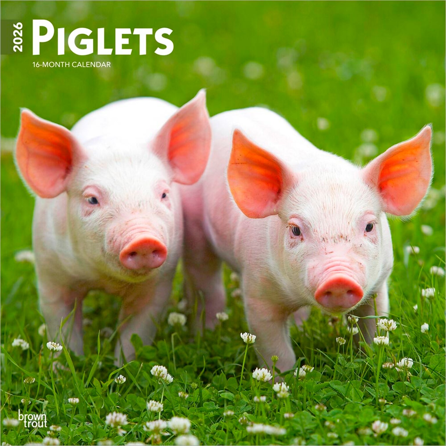 2026 BrownTrout Piglets 12 x 12 Monthly Wall Calendar (9798330705139)