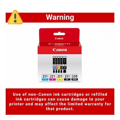 Canon PGI-250/CLI-251 Black/Photo Black/Cyan/Magenta/Yellow Standard Yield Ink Cartridge, 5/Pack (6497B013)