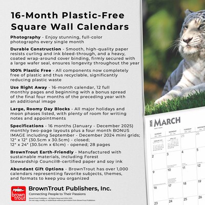 2025 BrownTrout White Tigers 12" x 12" Monthly Square Wall Calendar (9781975475932)