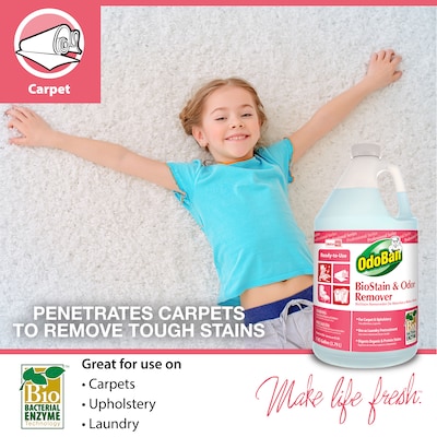 OdoBan Professional Laundry Stain Remover, 1 Gallon (960062-G4)