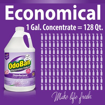 OdoBan Air Freshener & Deodorizer, Lavender Scent, 1 Gallon (911101-G4)