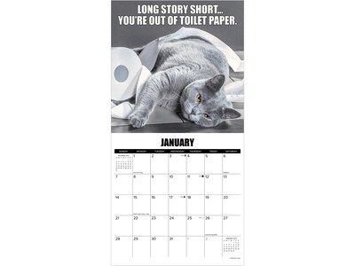 2024 Willow Creek Cat-Astrophe 12" x 12" Monthly Wall Calendar (32893)