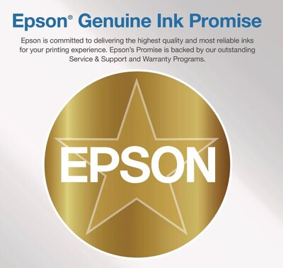 Epson T850 UltraChrome High-Yield Ink, Vivid Magenta (T85030N)