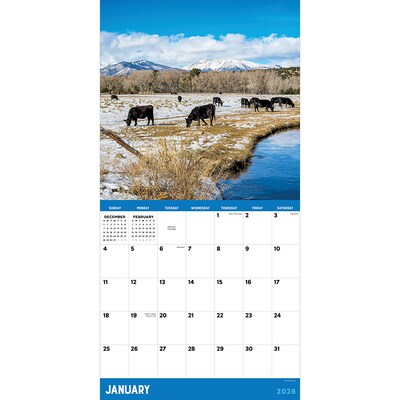 2026 TF Publishing Ranch Life 12 x 12 Monthly Wall Calendar (26-1042)