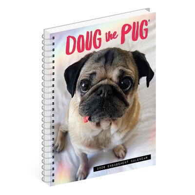 2026 Willow Creek Doug the Pug 6.5" x 8.5" Daily & Monthly Personal Organizer (54642)