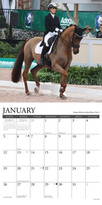 2025 Willow Creek Dressage 12" x 12" Monthly Wall Calendar (42779)