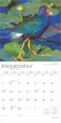 2025 BrownTrout Florida Nature 12" x 24" Monthly Square Wall Calendar, (9781975474805)