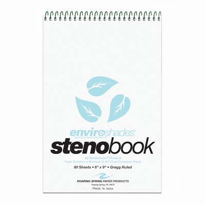 Roaring Spring Paper Products Enviroshades Steno Pad, 6 x 9, Gregg Ruled, Blue, 80 Sheets/Pad, 4 Pads/Pack (ROA12284)