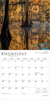 2026 BrownTrout Texas Nature 12" x 12" Monthly Wall Calendar (9798330705801)