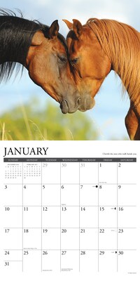 2027 Willow Creek 12" x 12" Monthly Wall Calendar, Assorted Colors (62920)