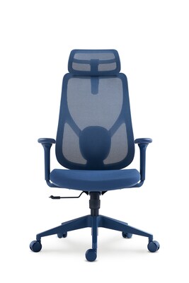 Raynor Group Torque Ergonomic Fabric/Mesh Swivel Manager Chair, Blue (TORQUE-BLU)