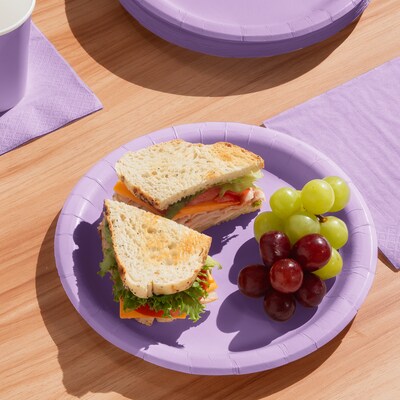 Creative Converting Touch of Color Paper Plates, Luscious Lavender Purple, 240/Carton (47193B)