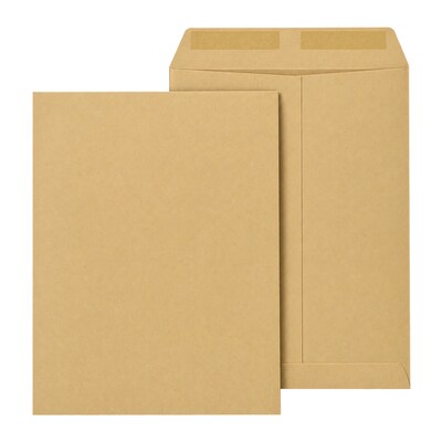 Staples 9 x 12 Catalog Envelopes, Brown Kraft, Gummed Seal, Heavy-Duty Mailing Envelopes for Documents & Forms, 250/Box