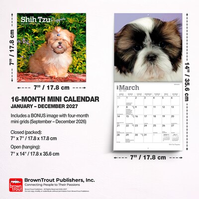 2027 BrownTrout Shih Tzu Puppies 7" x 7" Monthly Wall Calendar (9798330710089)