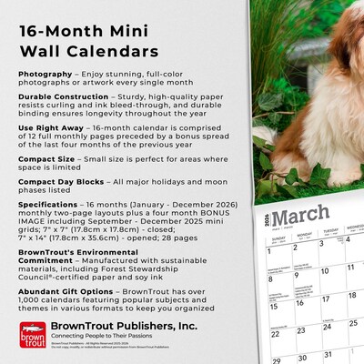 2026 BrownTrout Shih Tzu Puppies 7" x 7" Monthly Wall Calendar (9798330705542)
