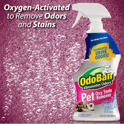 ODOBAN Pet Oxy Laundry Stain Remover Spray, 32 oz. (961561-Q6)