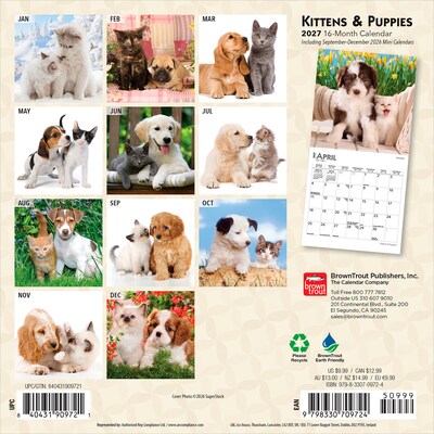 2027 BrownTrout Kittens & Puppies 7 x 7 Monthly Wall Calendar (9798330709724)