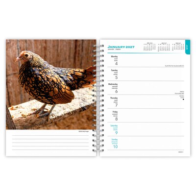 2027 BrownTrout Chickens 6.5" x 7.8" Calendar Year Weekly Standard Planner, Multicolor (9798330714919)