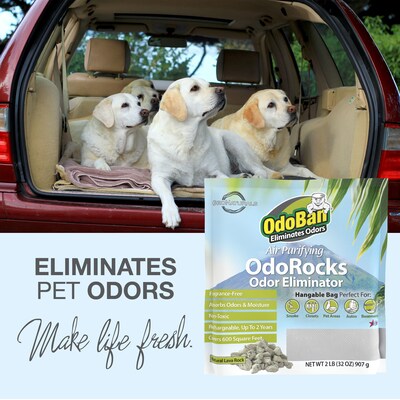 OdoBan Air Purifying OdoRocks Deodorizer Solid, 32 oz. (979561-2P)