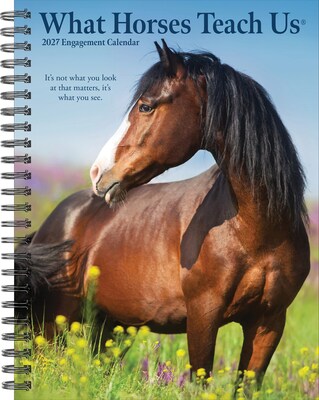 2027 Willow Creek What Horses Teach Us 6.5 x 8.5 Weekly & Monthly Desk Calendar (64474)