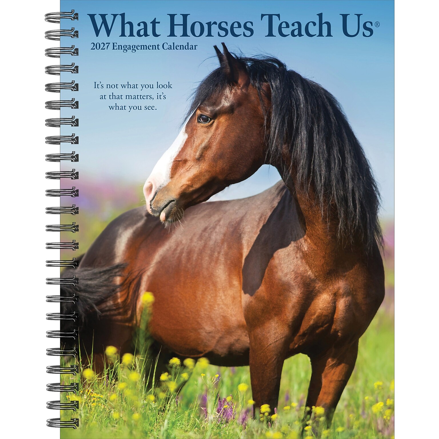 2027 Willow Creek What Horses Teach Us 6.5 x 8.5 Weekly & Monthly Desk Calendar (64474)