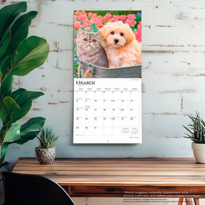 2026 BrownTrout Kittens & Puppies 12" x 12" Monthly Wall Calendar (9798330704101)