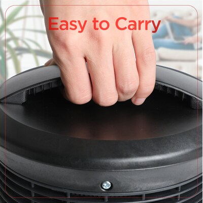 Black & Decker 1500-Watt Portable Electric Heater, Black (BHDS156)