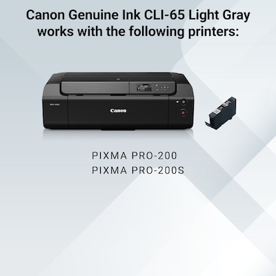 Canon 65 LGY Light Gray Standard Yield Ink Cartridge (4222C002)
