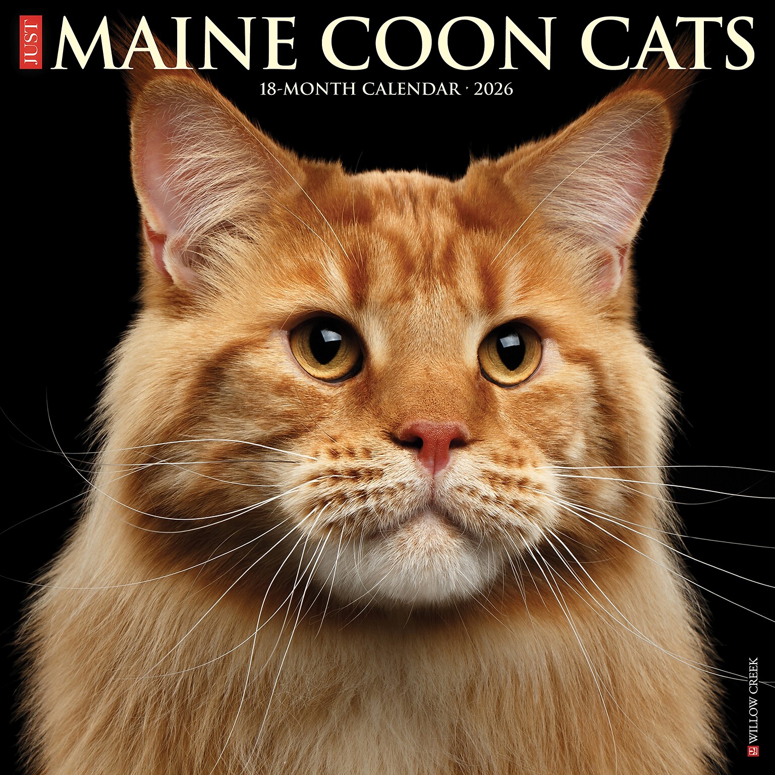 2026 Willow Creek Maine Coon Cats 12 x 12 Monthly Wall Calendar (51849)