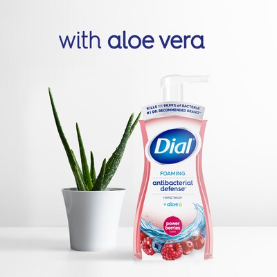 Dial Antibacterial Foaming Hand Soap, Power Berries Scent, 8/Carton (017000347271)