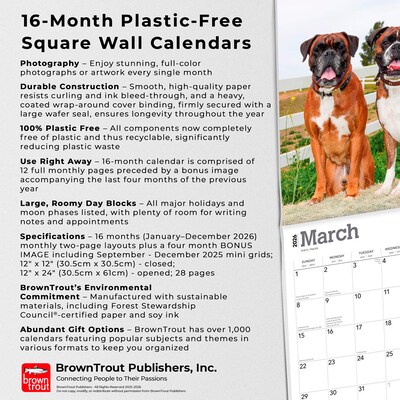 2026 BrownTrout Boxers International Edition 12" x 12" Monthly Wall Calendar (9798330702633)