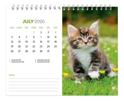 2026 BrownTrout Kittens 7.5" x 6" Monthly Desk Calendar (9798330704118)