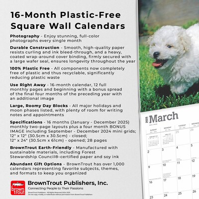 2025 BrownTrout Bichon Frise Puppies 12" x 12" Monthly Wall Calendar (9781975474508)