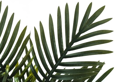 Monarch Specialties Inc. 20" Artificial Palm Plant in Pot (I 9501)